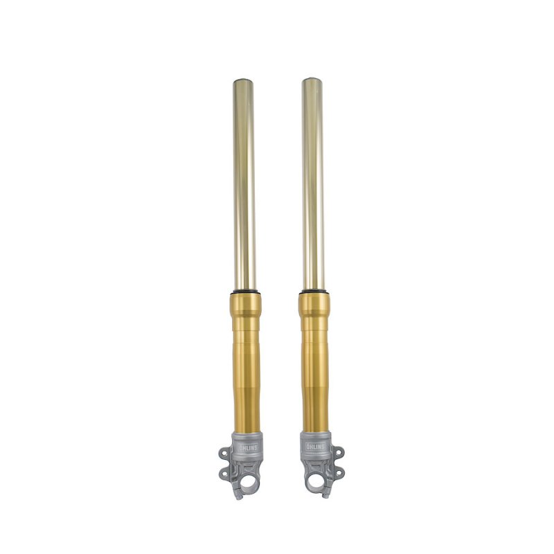 ÖHLINS Retro fork GOLD FG620 KAWASAKI ZRX 1100, ZRX 1200 1997-2005