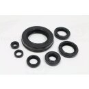 Motor-Simmerring-Satz für alle HONDA CBX 1000 `79-`83