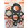 Engine Oil Seal Kit for all CB 500 Four 1970-1974