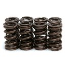 Satz, HIGH PERFORMANCE-Ventilfedern für alle CB 750...