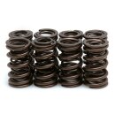Satz, HIGH PERFORMANCE-Ventilfedern für alle Z 1, Z...