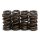 Kit, HIGH PERFORMANCE valve springs for all GS 550, GS 750, GS 850 G, GS 1000 8V