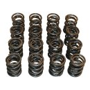 Kit, HIGH PERFORMANCE valve springs for all GSX-R 750,...