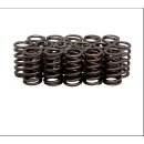 Satz, HIGH PERFORMANCE-Ventilfedern für alle GSX-R...