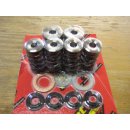 Satz, HIGH PERFORMANCE-Ventilfedern inkl....