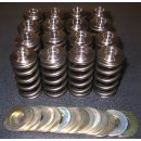 Kit, HIGH PERFORMANCE valve springs incl. titanium valve...