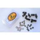 Kit, HIGH PERFORMANCE valve springs incl. titanium valve...