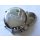 Generator cover, polished, replica, for Z 1, Z 900 A4, Z 1000 A, Z 1000 Z1R